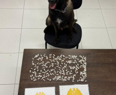 PMPR prende cinco homens por tráfico de drogas em Matinhos