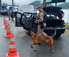 SESP coordena Operação Travessia com forças de segurança em Guaratuba e Matinhos