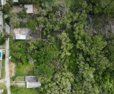 Polícia Científica intensifica perícias ambientais no Litoral durante o Verão Maior Paraná