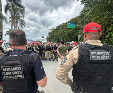 Verão Maior Paraná reforça segurança com ações integradas e orientações no litoral