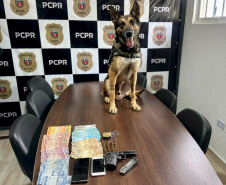 PCPR prende duas pessoas durante cumprimento de mandado de busca e apreensão em Antonina