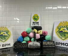 Com apoio aéreo, PMPR apreende droga escondida em tanque de combustível na BR-277