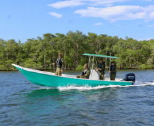 PMPR intensifica patrulhamento náutico para garantir proteção à fauna marinha no verão