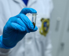 Com policiamento reforçado, Carnaval do Litoral teve redução de 44% nos roubos