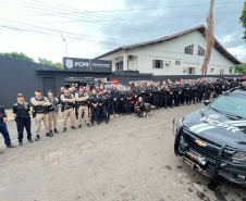 PCPR prende 16 pessoas ligadas ao tráfico de drogas na Região Noroeste do Paraná