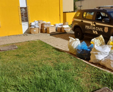 PCPR prende seis pessoas durante operação contra grupo que causou prejuízo de R$ 700 mil em empresas do Estado