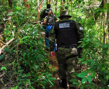 PMPR e IAT multam 15 pessoas por acesso irregular ao Pico Paraná em um dia