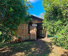 Programa Mulher Segura leva conscientização a aldeias indígenas no Paraná