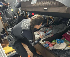 PCPR prende seis pessoas em operação contra roubos de cargas na RMC