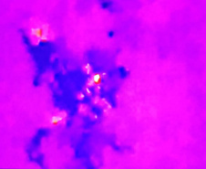 Corpo de Bombeiros resgata homem desaparecido há dois dias, em Morretes