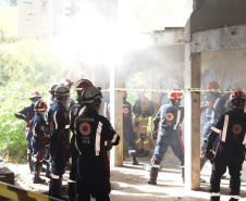 Treinamento reforça papel estratégico dos cães de busca dos bombeiros em resgates