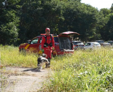 Treinamento reforça papel estratégico dos cães de busca dos bombeiros em resgates