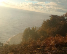 Bombeiros mantém combate e avançam na extinção do incêndio no Morro do Boi