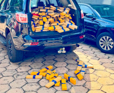 Maior apreensão do ano: PCPR encontra 4,1 toneladas de maconha em Foz do Iguaçu