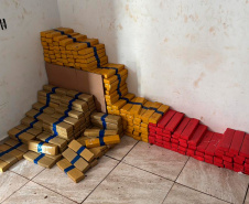 Maior apreensão do ano: PCPR encontra 4,1 toneladas de maconha em Foz do Iguaçu