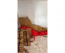 Maior apreensão do ano: PCPR encontra 4,1 toneladas de maconha em Foz do Iguaçu