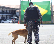 PMPR forma novos policiais especializados no uso de cães e reforça atuação no combate ao crime no Estado