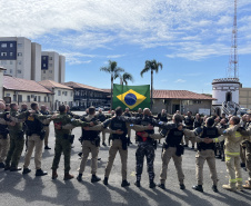 PMPR forma novos policiais especializados no uso de cães e reforça atuação no combate ao crime no Estado