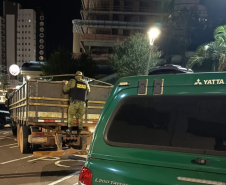 PMPR apreende quase 12 toneladas de baterias e detém motorista por crime ambiental em Vitorino