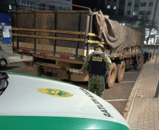 PMPR apreende quase 12 toneladas de baterias e detém motorista por crime ambiental em Vitorino