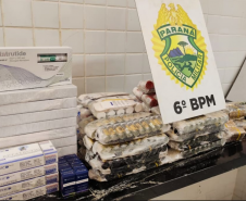 PMPR e PF prendem homem com medicamentos contrabandeados na BR-277, em Cascavel