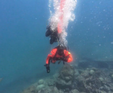 Bombeiros formam nova turma de mergulhadores para atuação em diferentes regiões do Paraná