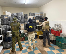 PMPR causa prejuízo de R$ 6,4 milhões com apreensão de mais de 2,5 toneladas de drogas em Guarapuava