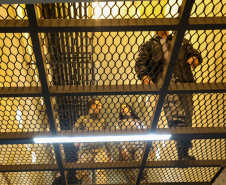 Com operação integrada, Paraná amplia coleta de perfis genéticos em unidades penais