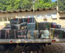 PCPR apreende três toneladas de maconha durante operação em Foz do Iguaçu