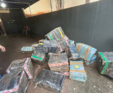 PCPR apreende três toneladas de maconha durante operação em Foz do Iguaçu