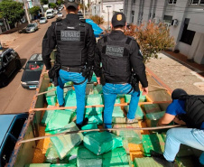 PCPR apreende 2,3 toneladas de maconha durante abordagem em Palmas