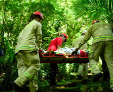 Bombeiros realizam simulado de descarrilamento de trem com múltiplas vítimas na Serra do Mar