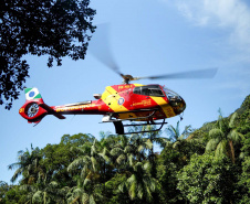 Bombeiros realizam simulado de descarrilamento de trem com múltiplas vítimas na Serra do Mar