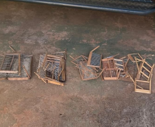 PMPR autua responsável por manter aves silvestres em cativeiro em Medianeira