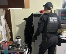 Forças de segurança prendem 21 pessoas em operação contra organização criminosa