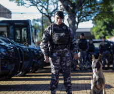 Operação Sinergia leva reforço operacional e ações estratégicas de segurança a Sarandi e região