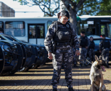 Operação Sinergia leva reforço operacional e ações estratégicas de segurança a Sarandi e região