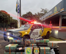 PMPR e forças integradas apreendem quase três toneladas de drogas em operações no Oeste do Paraná