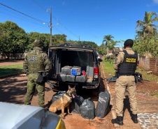 PMPR retirou quase 24 toneladas de drogas de circulação na fronteira em junho