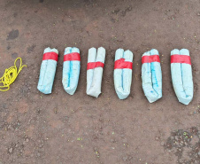 PMPR retirou quase 24 toneladas de drogas de circulação na fronteira em junho