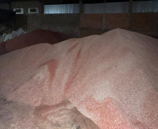 PCPR prende 7 e apreende maquinário para adulteração de fertilizantes em Ponta Grossa