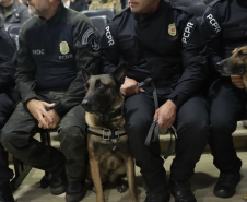 Polícia Civil do Paraná apreende armas e haxixe na Rodoviária de Curitiba