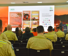 Planejamento e integração marcam preparação do Paraná para temporada de incêndios