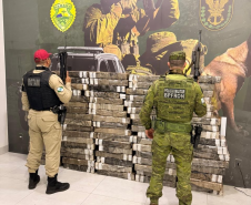 Mais de 2,6 toneladas de maconha são apreendidas em ações da PMPR no Oeste do Paraná