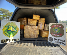Mais de 2,6 toneladas de maconha são apreendidas em ações da PMPR no Oeste do Paraná