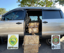 Mais de 2,6 toneladas de maconha são apreendidas em ações da PMPR no Oeste do Paraná