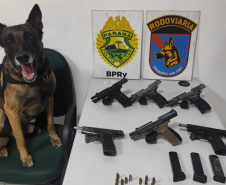 PMPR apreende seis pistolas em ônibus em operação de combate ao tráfico de armas em Piraí do Sul