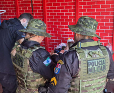 PMPR e IAT apreendem 95 aves e aplicam mais de R$ 400 mil em multas em Guarapuava