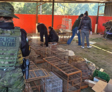 PMPR e IAT apreendem 95 aves e aplicam mais de R$ 400 mil em multas em Guarapuava
