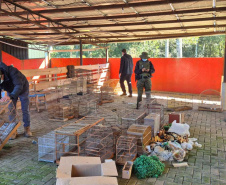 PMPR e IAT apreendem 95 aves e aplicam mais de R$ 400 mil em multas em Guarapuava